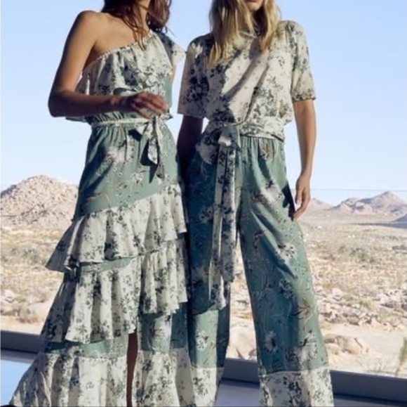 MISA Faena Floral-print Ruffle-trimmed Maxi Dress - Picture 8 of 8